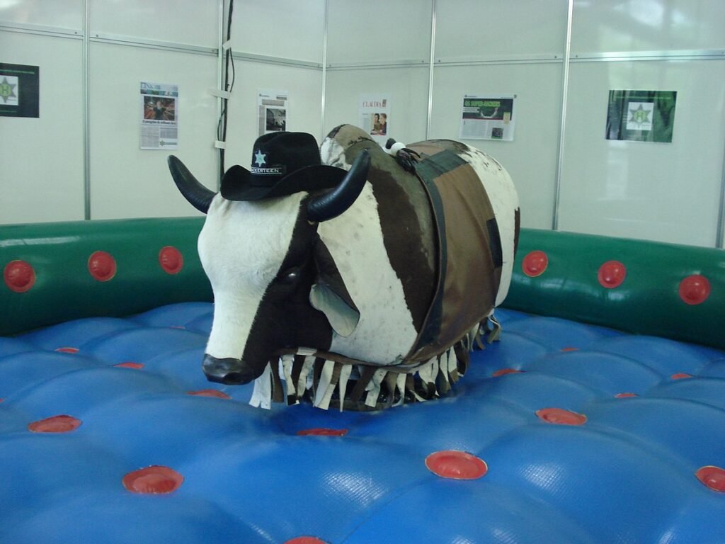 Inflatable Mechanical Bull Ride